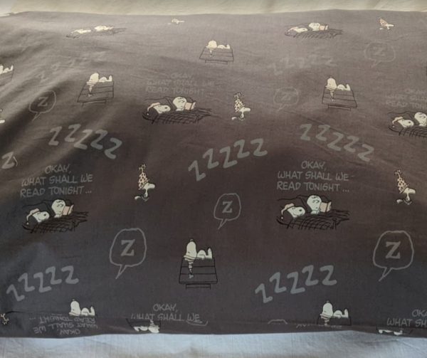 Bedtime with Snoopy-Pillow Cases - Image 2