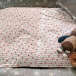 Strawberries - Pet sheet